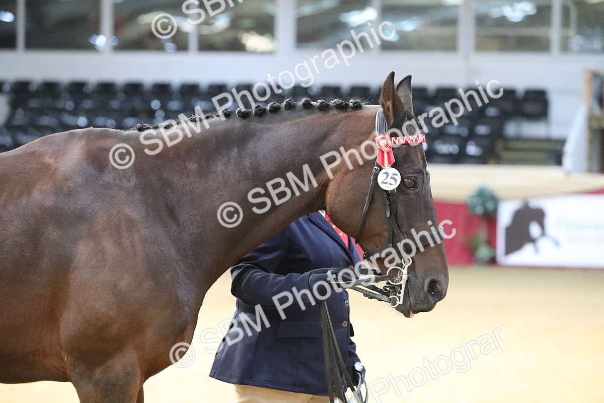 SBM_00189 - Class 1a - Area IH Diamond
