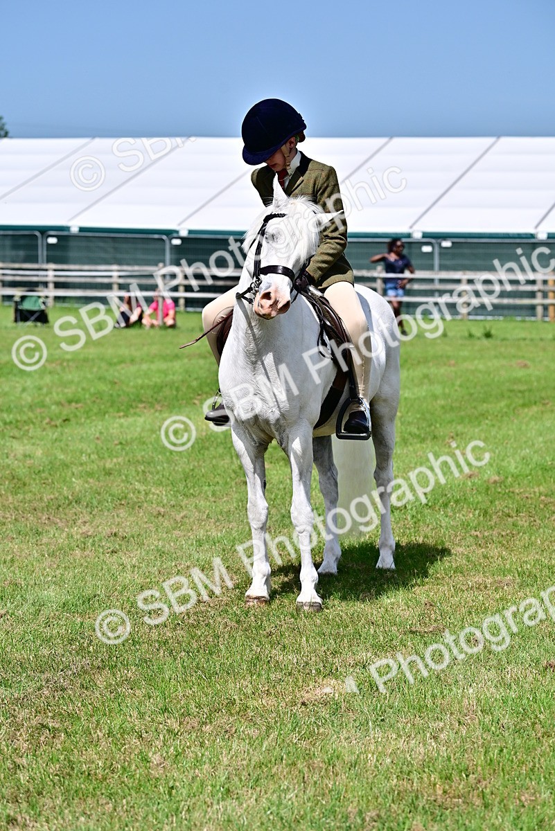 SBM_03823