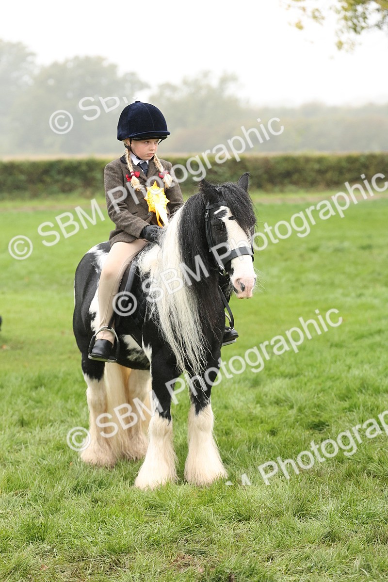 SBM_72858 - S70 - Traditional Cob Ridden