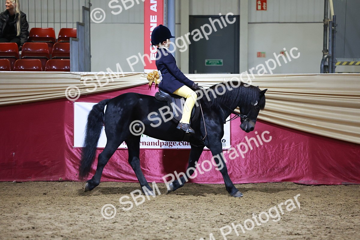 SBM_21537 - Class V - Champion of Champions