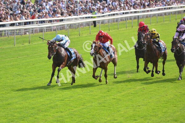 yr05092021r1-39 - Race 1 2.10pm IRE-Incentive It Pays To Buy Irish ebfstallions.com Novice Stakes