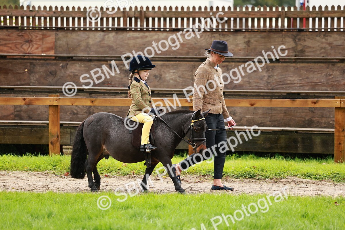 SBM_33736 - S9 - Lead Rein Equitation