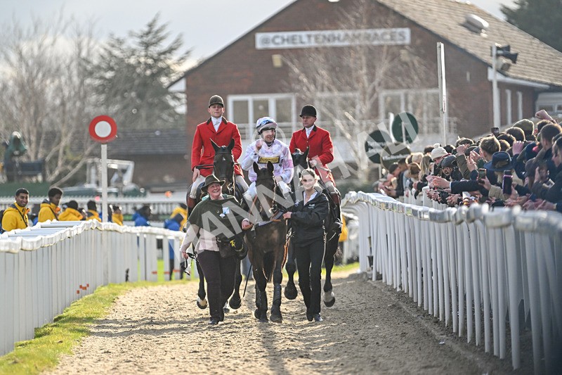 110325-Race 5-Golden Ace-3231 - 11th March