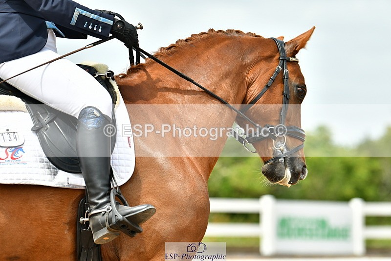 230702A-133213-10037 - Cls 31 Medium 69