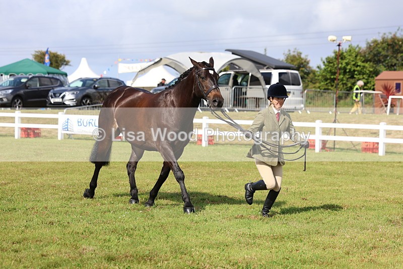 3E7A9112 - Class 3: Rising Star S/L Hunter