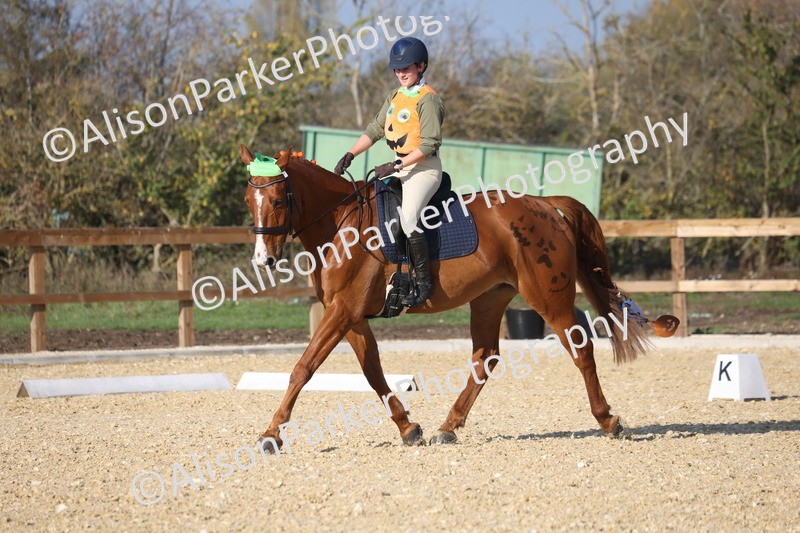 L20261031-0043 - Class 5 - Novice 2