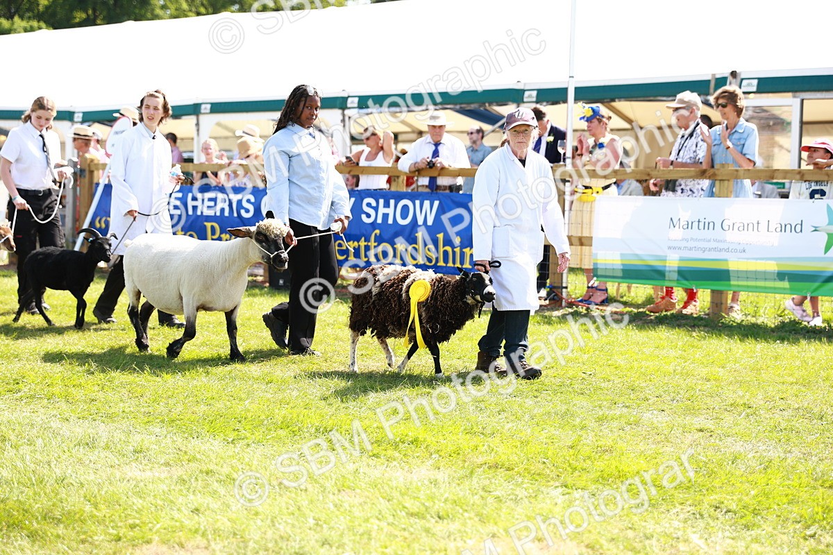 SBM_08396 - Grand Parade