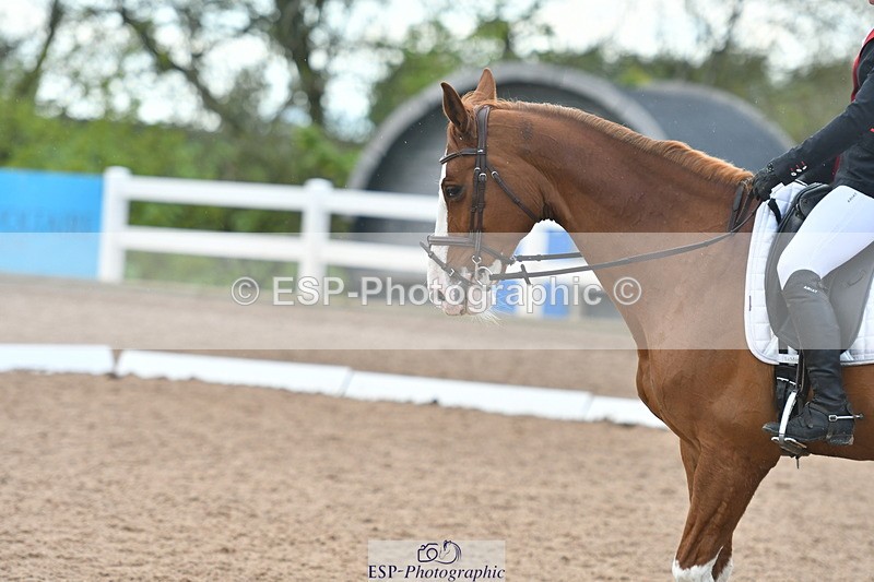 230511A-172806-01567 - Quest Cls 9 Novice