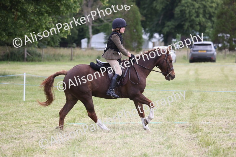 20260614-2760 - Class 22 - Open Working Hunter