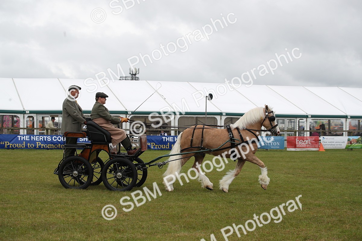SBM_05671 - Class 12-15 - HOYS Private Driving