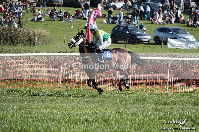 PtP 210326 294 - VWH Cirencester Races 21/03/26