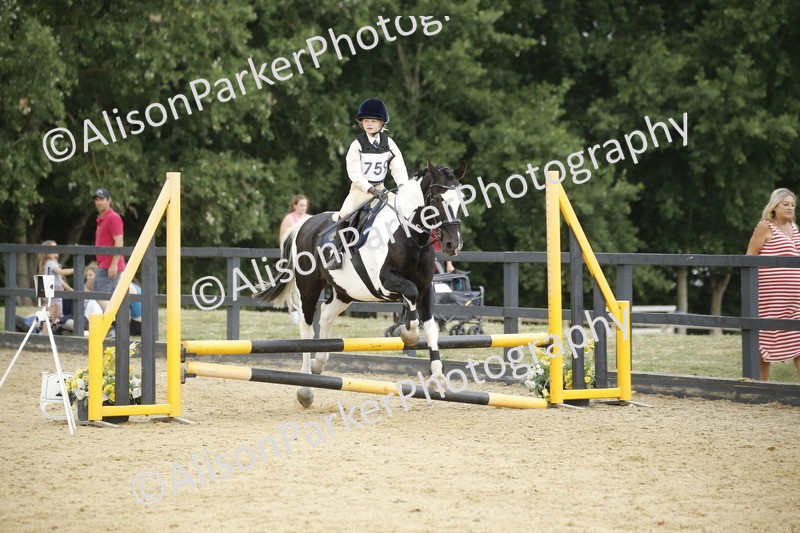 20250622-6344 - 60cm