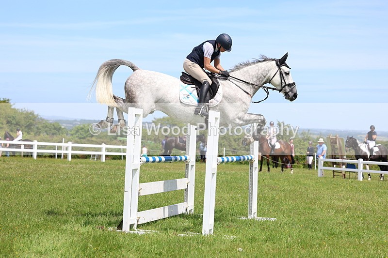 3E7A1320 - Class 12: Senior Foxhunter/1.20 open