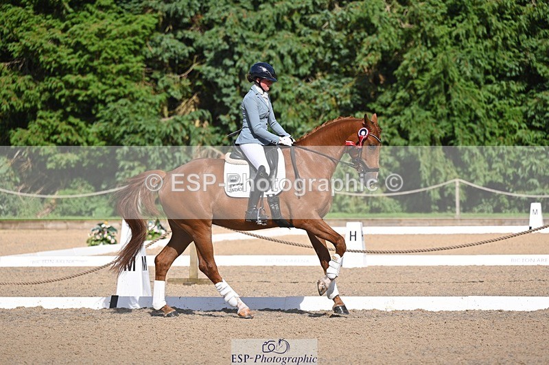 240809-163647-02440 - Novice Gold