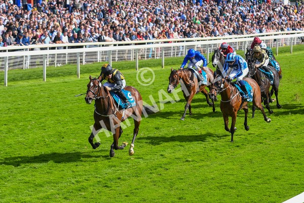 150723-Race 5-Specific Times-0539 - Race 5 4.20pm John Smith's Nursery Handicap