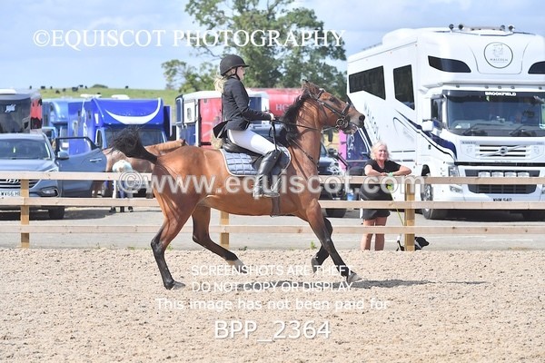 BPP_2364 - DERBY CLASS 7 - 80CM