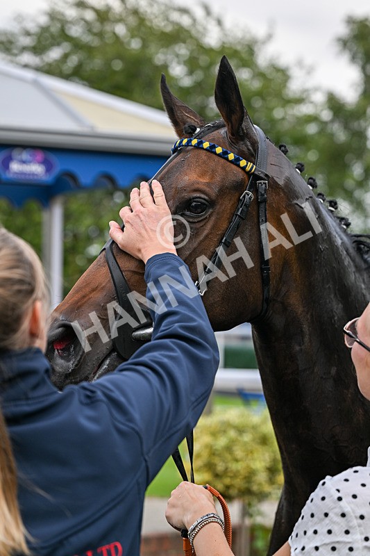 030726-Race 2-Tropical Crown-0636 - Race 2 18.30pm Ire-Incentive, It Pays To Buy Irish EBF Fillies' Novice Stakes