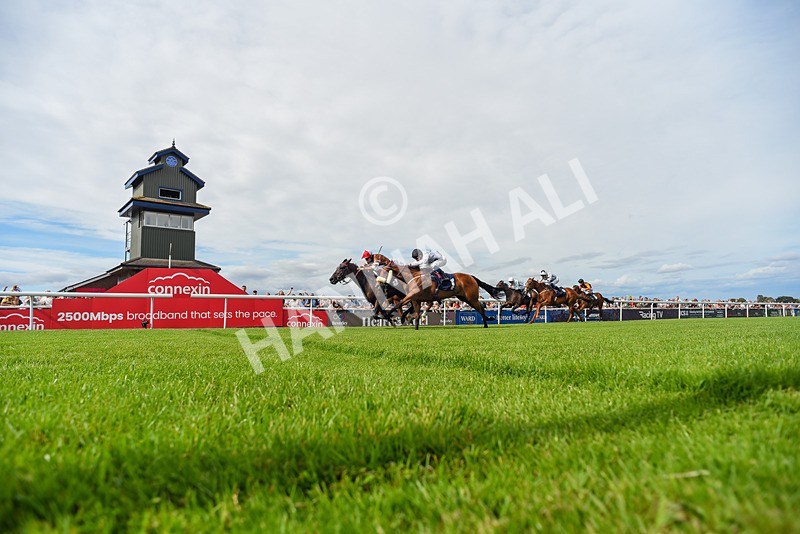 050725-Race 5-Take A Breath-5370 - Race 5