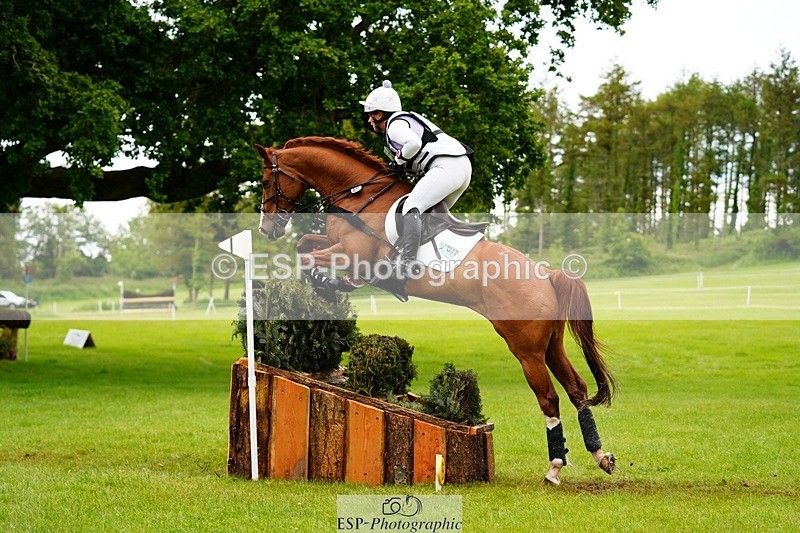 240525-170654-19015 - 263-CHILLI_MORNING_IV-Gemma_Stevens