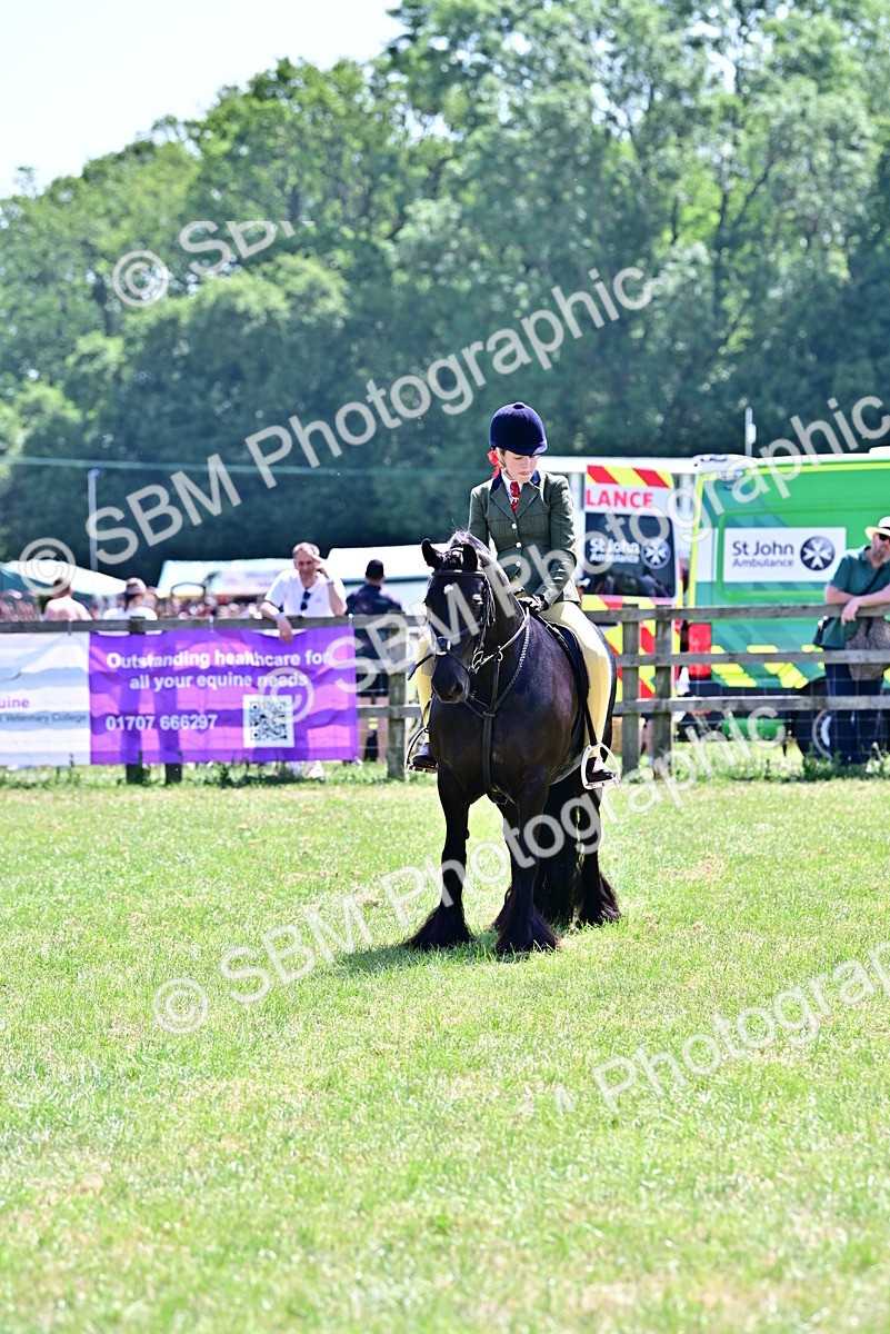 SBM_15313 - Class 95-97 - BSPS LHS Performance Ponies