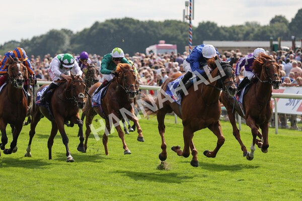 yr18082021r3-61 - Race 3 3.00pm Sky Bet Great Voltigeur Stakes