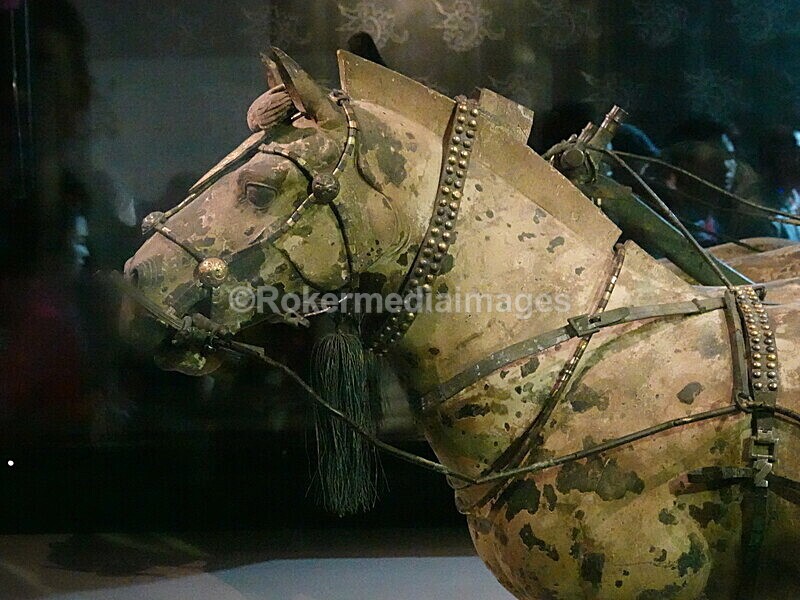 CHINA__0948 - China 2019