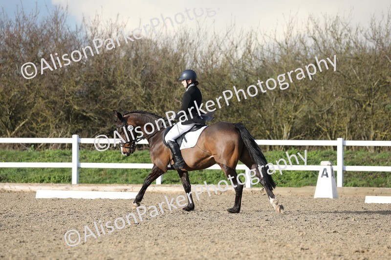 20260314-5955 - DR9 - PYO