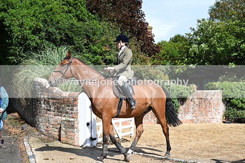 WJ7_7243 - Berks & Bucks at Blandy’s Farm 31-08-25