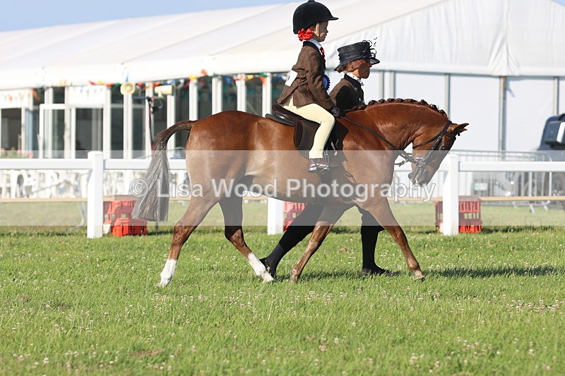 JPP_0922 - Class 16: Cornish Combination Leading Rein