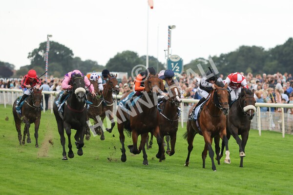 yr04092022r2-22 - Race 2 2.20pm John and Judith Marshall Memorial Stakes