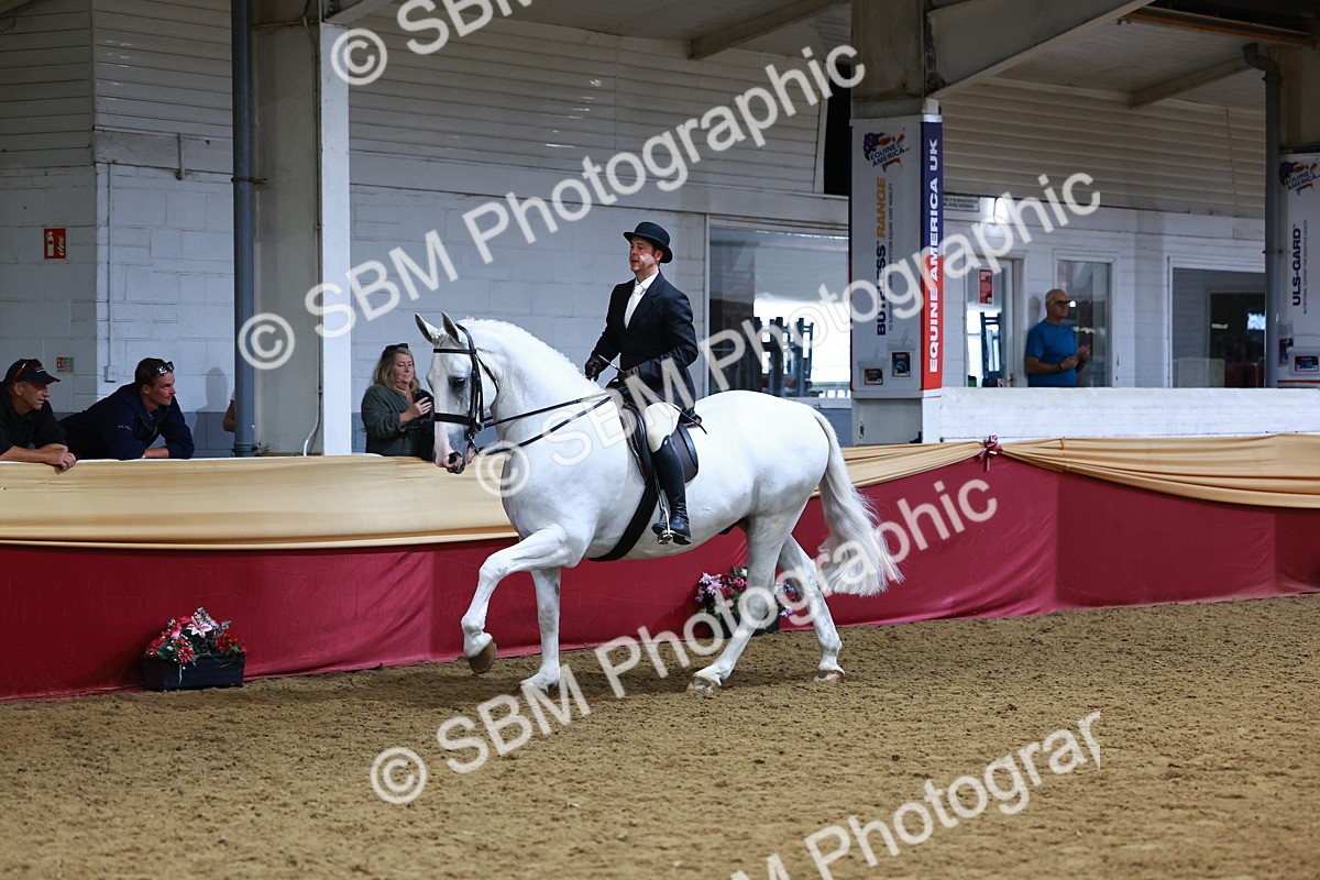 SBM_23452 - class 906 - Supreme Final - Ridden Pre Vet
