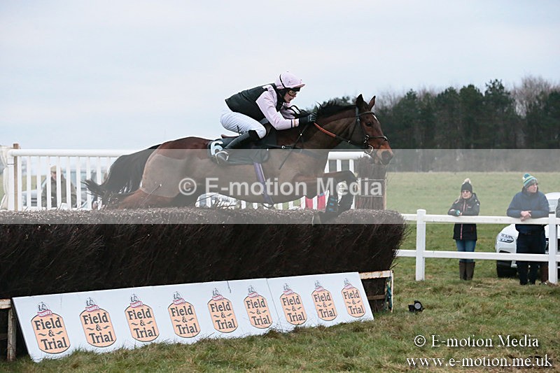 PtP 060119 597 - Larkhill Racing Club - Point-to-Point- 06/01/2019