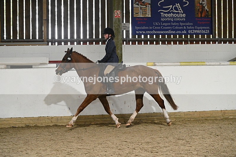 WJ7_4164 - Class 17 Ridden Cob