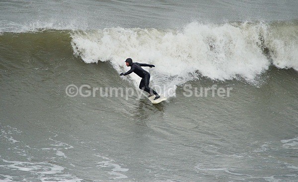 DSC_1621 - Cayton Bay - 11th April 2017