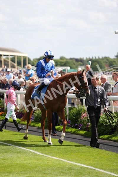 yr10062022r4-1 - Race 4 3.30pm Seat Unique Ganton Stakes