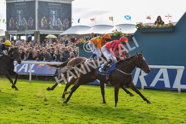 141023-Race 4-Colorada Dancer-1191 - Race 4 3.05pm Coral Racing Club EBF Maiden Stakes