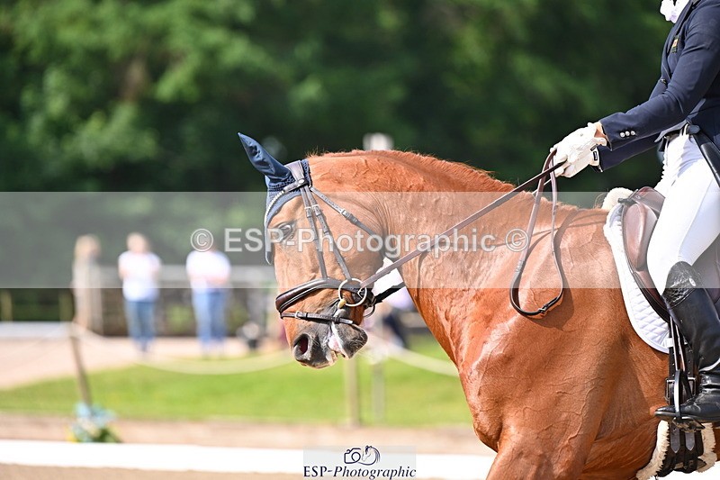 250523A-101740-05897 - C-261-Danielle.Dunn-ICI.DOR.DE.DONNA.CADANZA.Z