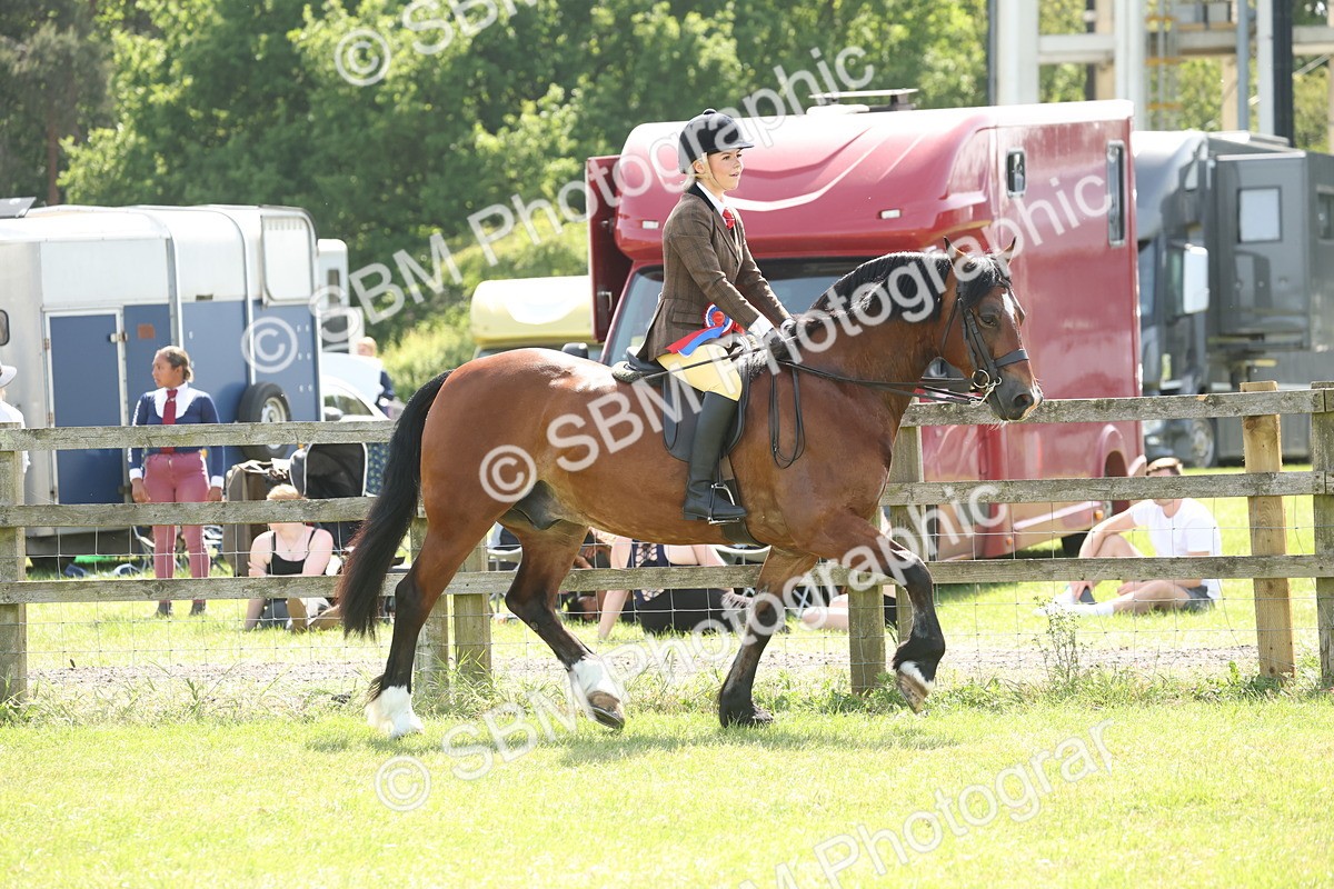 SBM_07746 - Class 26-30 - Mountain and Moorland Ridden