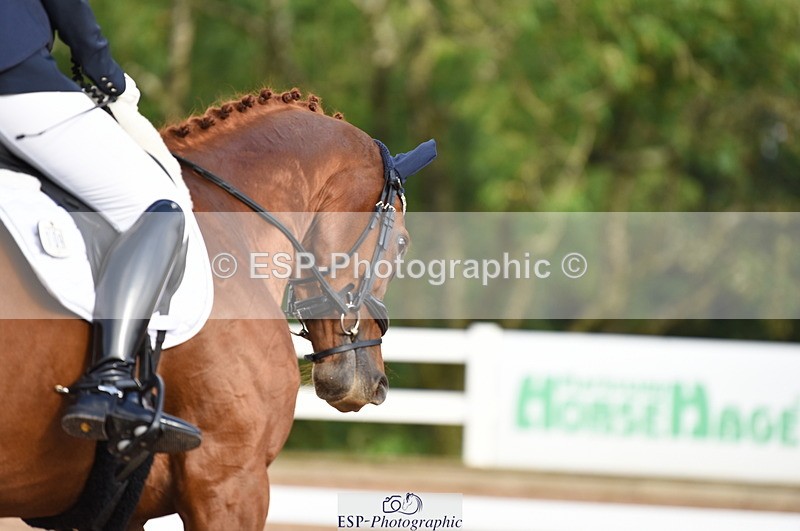 230912A-100046-00209 - Cls 2 Prelim 19