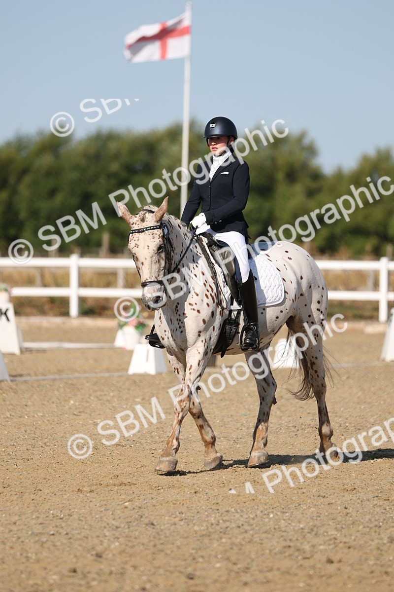SBM_012685 - Class 1 - P5 Bronze 9.00.10.12