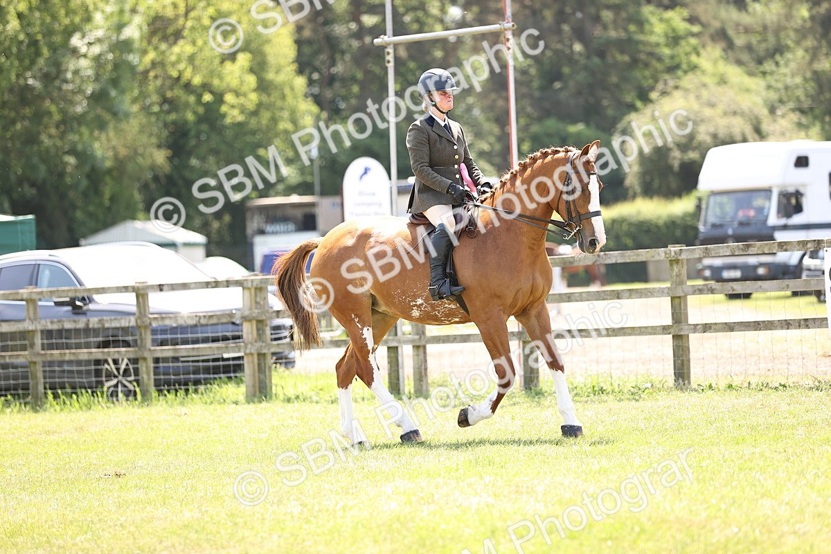 SBM_15258 - Class 79-80 - LIHS BSHA Rising Star Ridden Hunter
