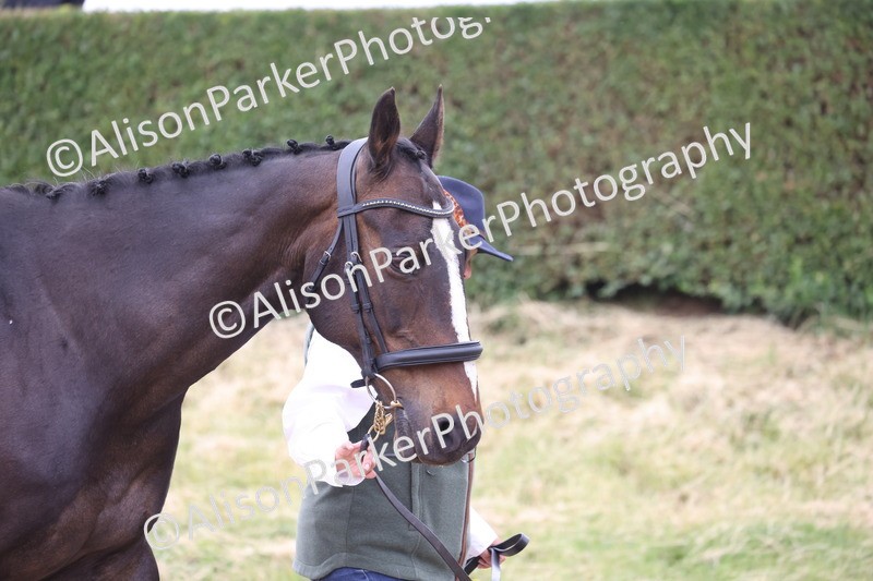 20250524-0646 - Class 7 - Veteran