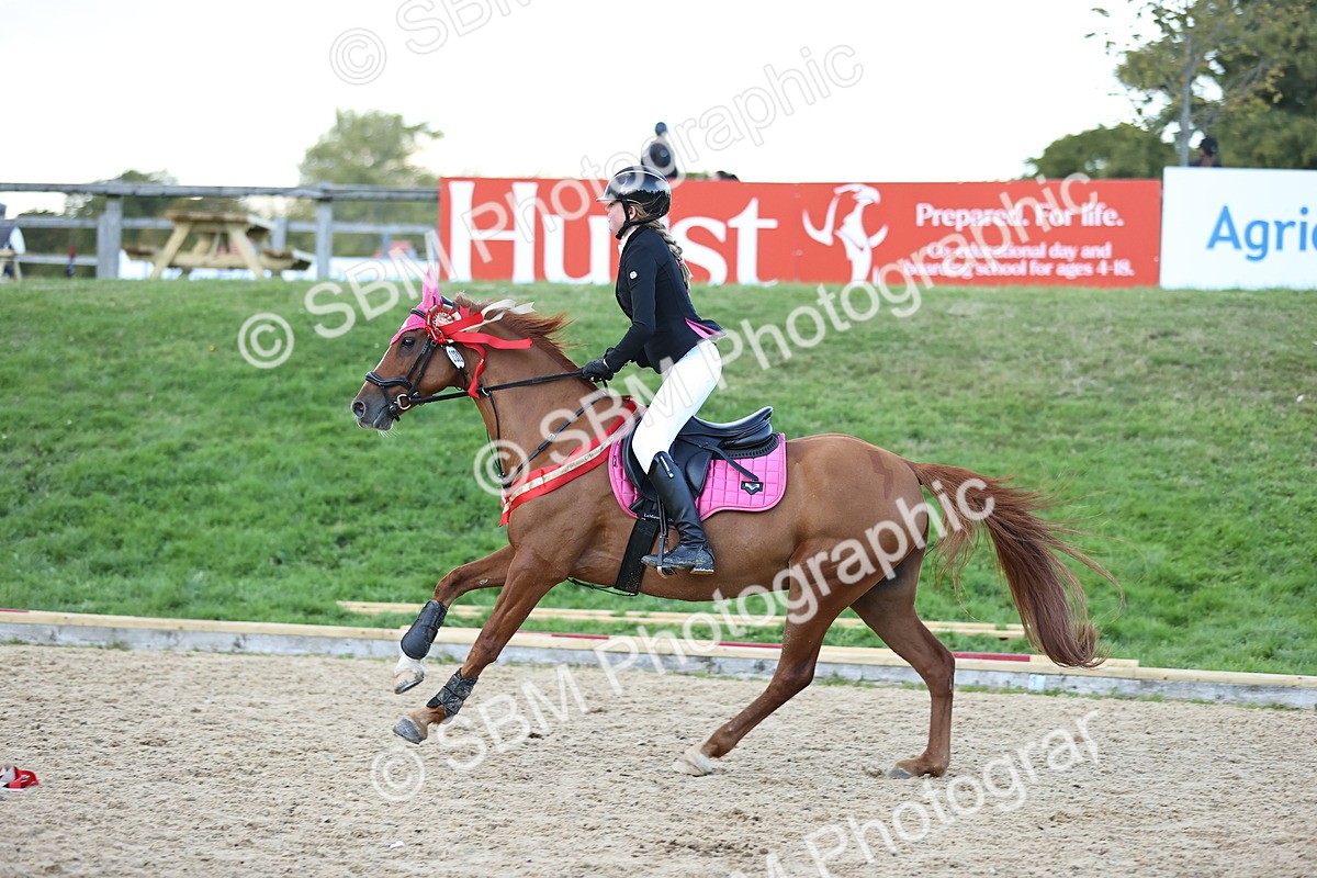 SBM_54457 - Supreme Championship 70cm 75cm