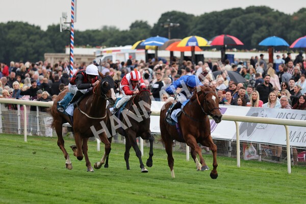 yr22072022r2-20 - Race 2 5.50pm eventmasters.co.uk Stakes