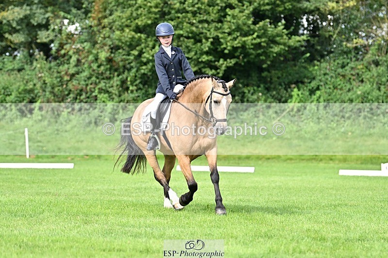 230826-101729-16415 - Sections A & B 10 to End