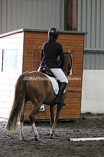 SIAL4304 - CAbin Dressage 5th july 2025