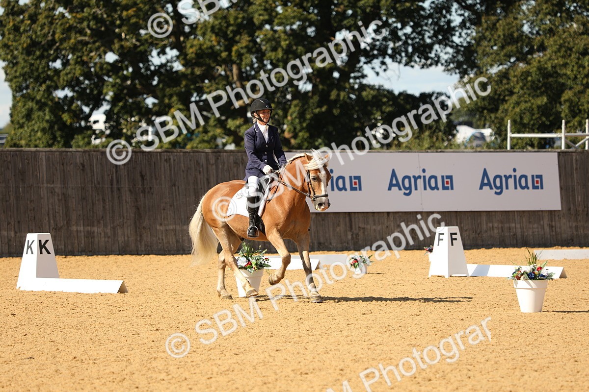 SBM_22390 - D17 - Grand Tour Championship - Novice 27