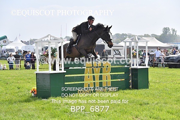 BPP_6877 - CLASS 3 RHS Fox Champ Qual (1.20m)