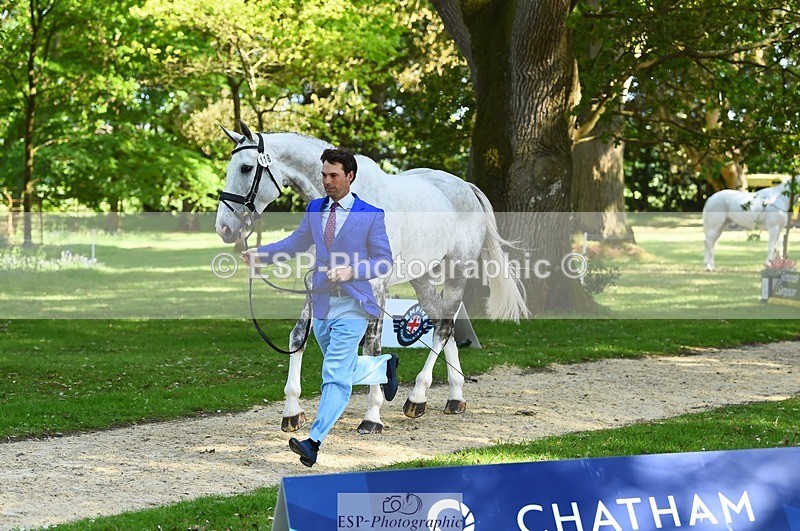 230524-163022-00911 - 118-HIGH_HOPES_VIKING-Harry_Meade-WEDTrotUp+DR