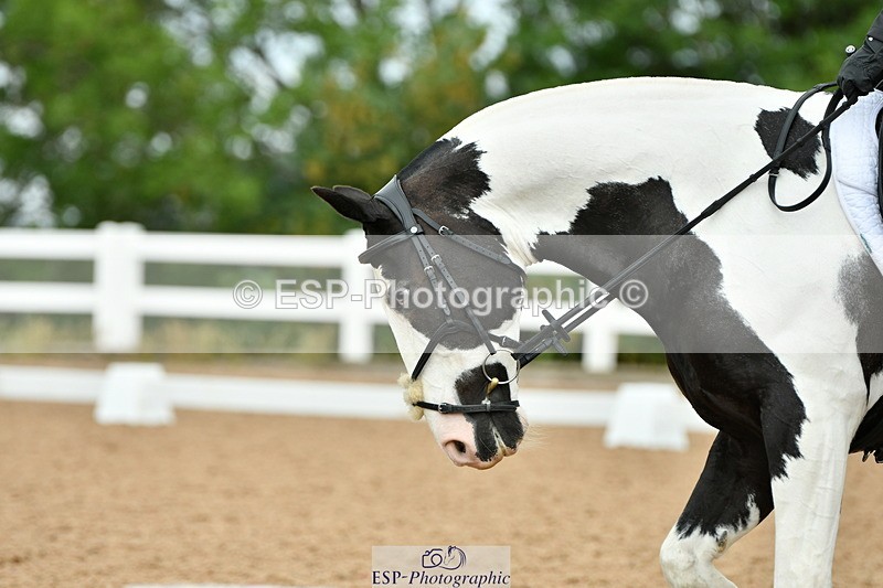 230701A-101151-04695 - Cls 4 Novice 23